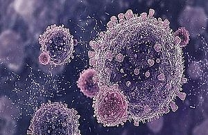 Virus cells